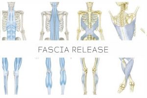 fascia release bij Kokopilau